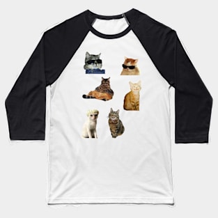 Funny Cats Baseball T-Shirt